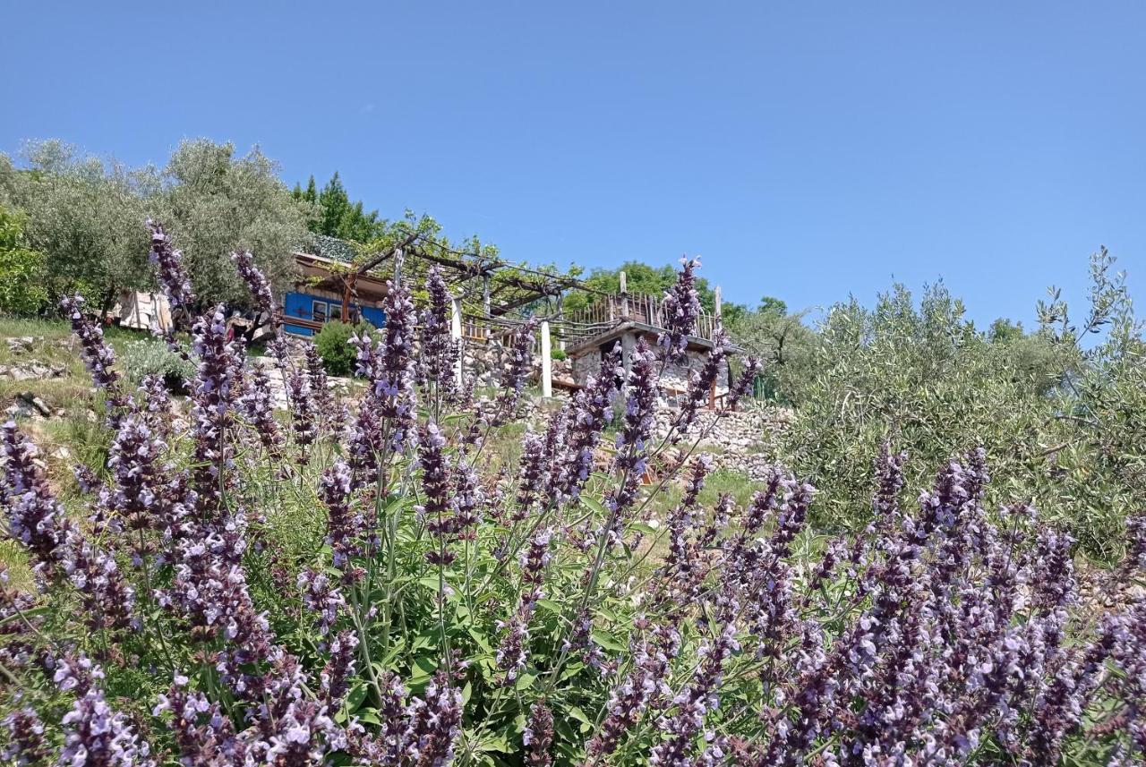 Casa Delle Olive Vila Mošćenička Draga Exterior foto