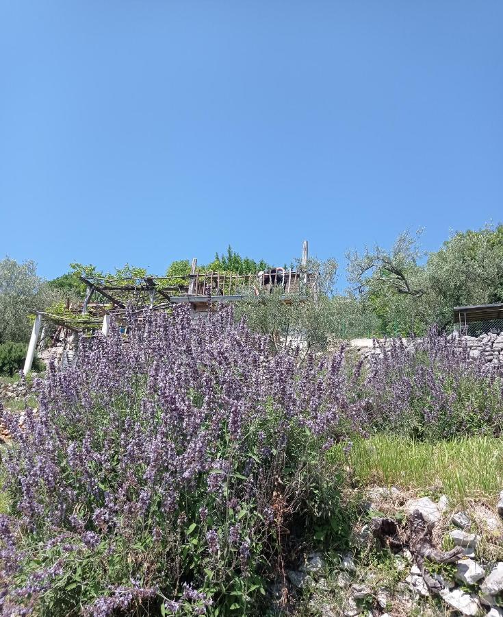 Casa Delle Olive Vila Mošćenička Draga Exterior foto