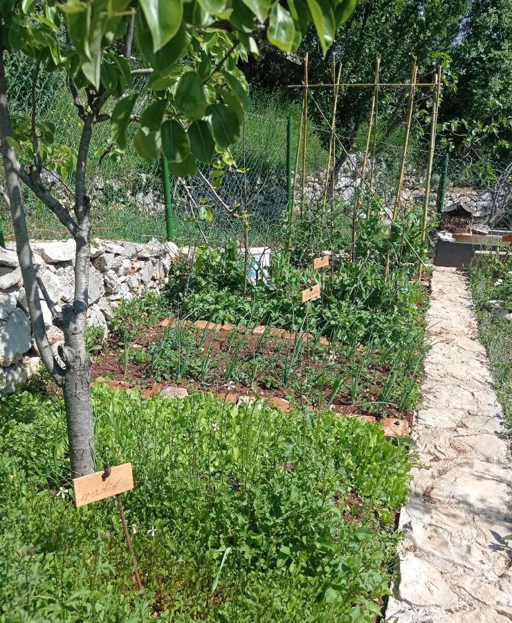 Casa Delle Olive Vila Mošćenička Draga Exterior foto