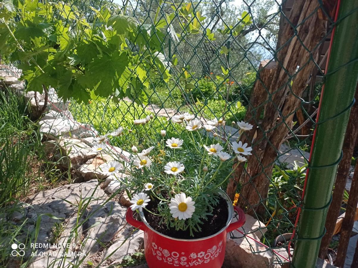 Casa Delle Olive Vila Mošćenička Draga Exterior foto