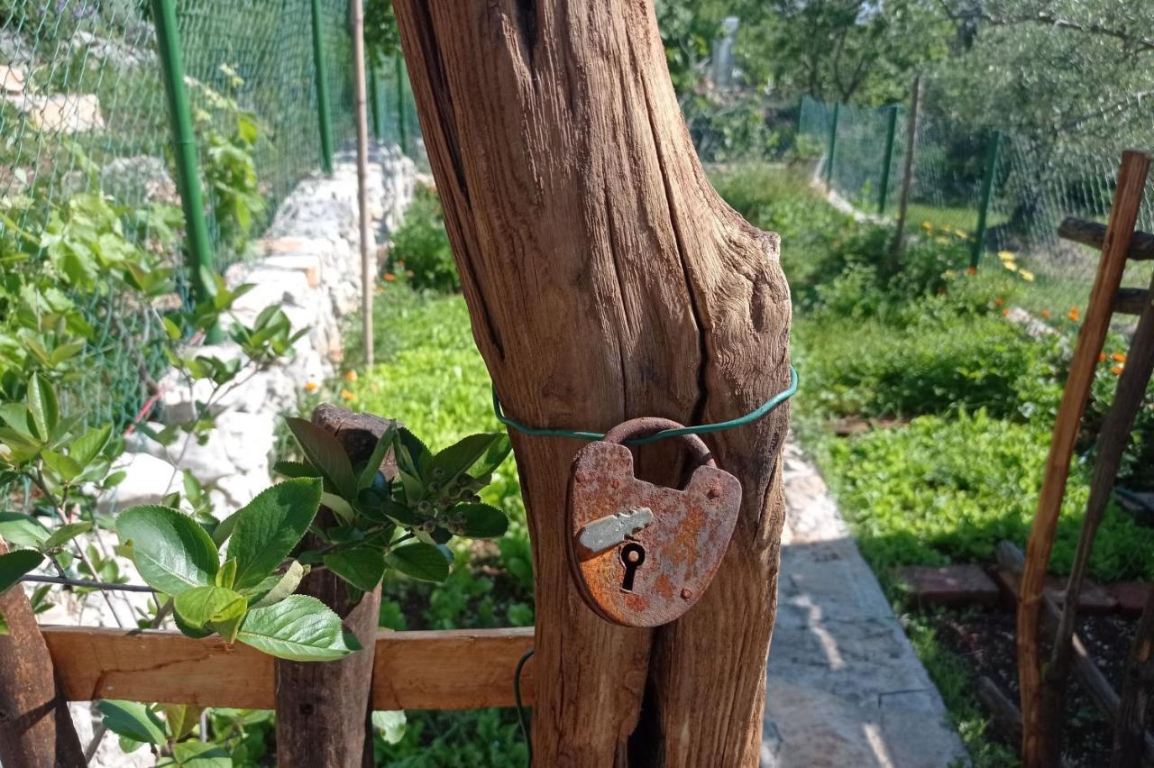 Casa Delle Olive Vila Mošćenička Draga Exterior foto